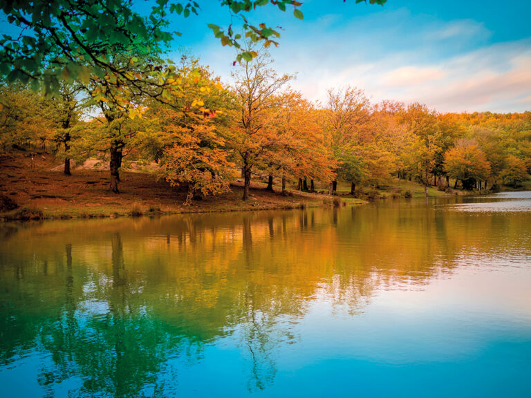 Il Parco dei Nebrodi: il paradiso degli escursionisti